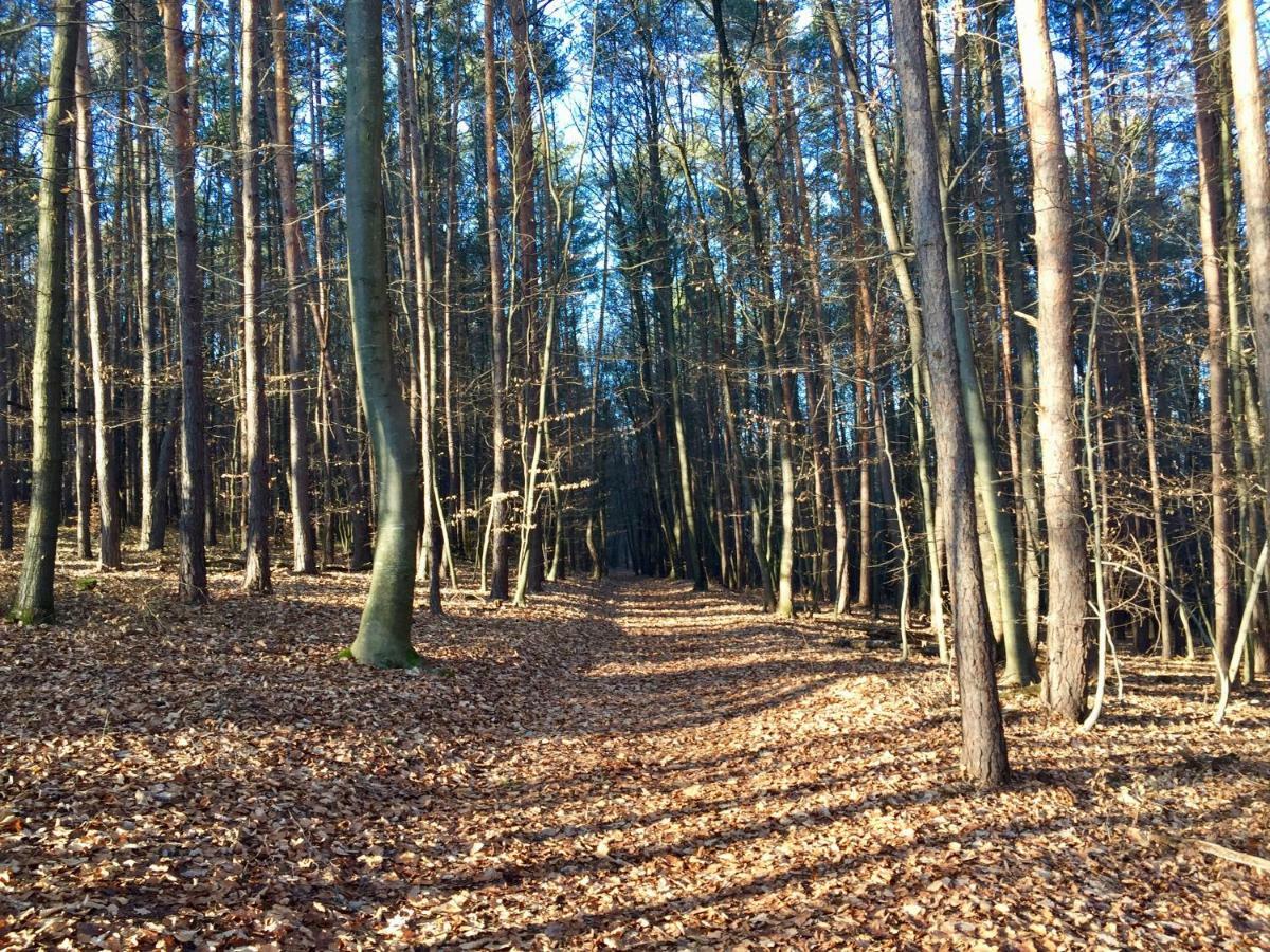 Waldfruhstuckspension Familie Toth Oberschützen Exterior foto